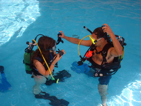 Sul Informação - Município de Beja promove Batismo de Mergulho na Piscina Coberta