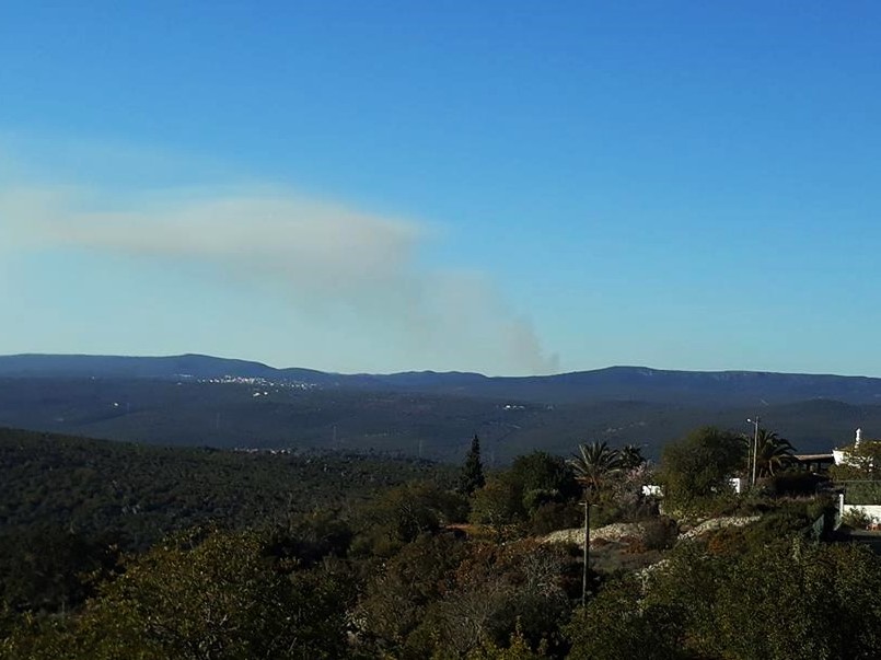 Sul Informação - Helicóptero ajuda a combater incêndio em zona de mato e canavial em Alte