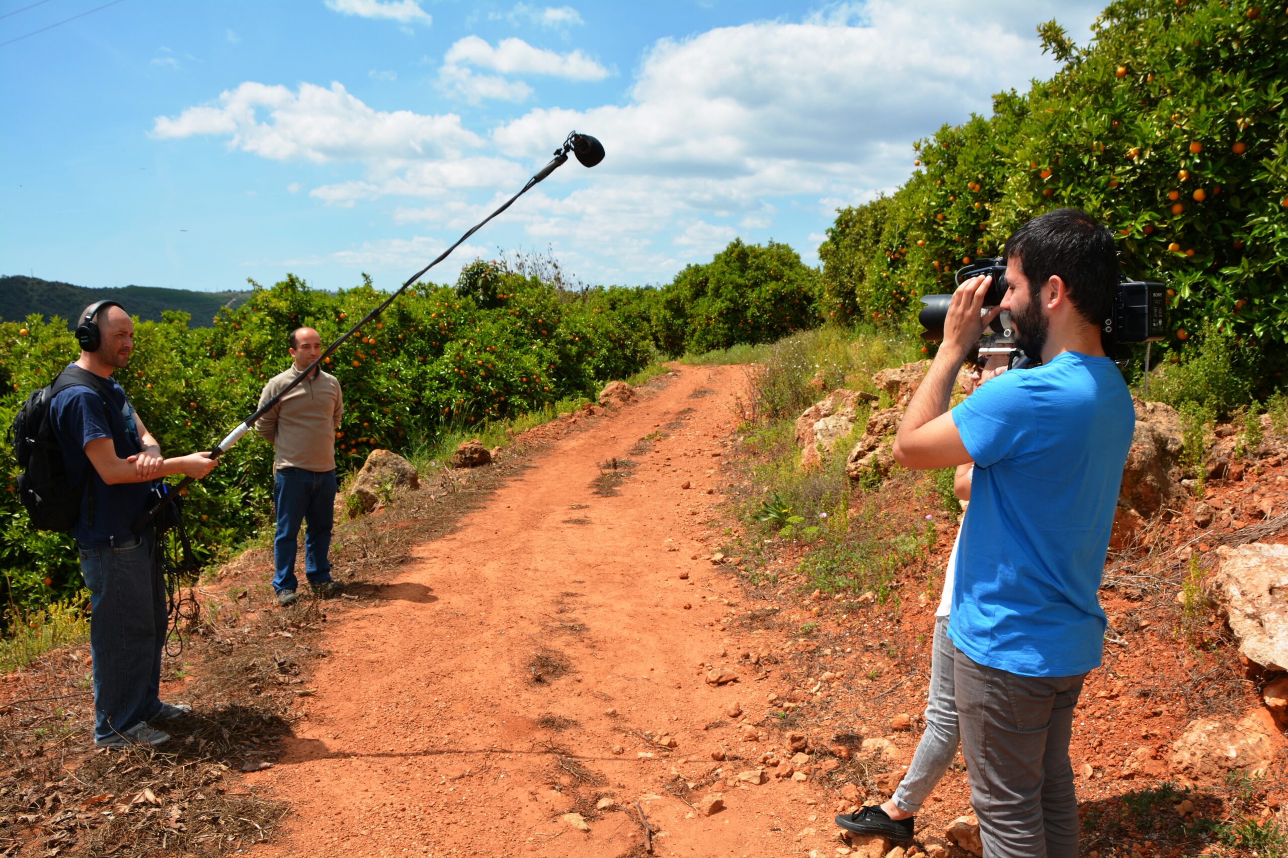 Sul Informação - «Ingrediente Secreto» filma a laranja em Silves