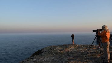 02-BirdwatchingSagres_SPEA-JoanaDomingues