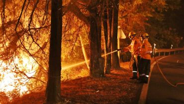 Bombeiros no Incêndio em Monchique_ni