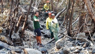 Antigo trilho renasce nas Caldas de Monchique (8)|Antigo trilho renasce nas Caldas de Monchique (1)|Antigo trilho renasce nas Caldas de Monchique (2)|Antigo trilho renasce nas Caldas de Monchique (3)|Antigo trilho renasce nas Caldas de Monchique (4)|Antigo trilho renasce nas Caldas de Monchique (5)|Antigo trilho renasce nas Caldas de Monchique (6)|Antigo trilho renasce nas Caldas de Monchique (7)|Antigo trilho renasce nas Caldas de Monchique (9)|Antigo trilho renasce nas Caldas de Monchique (10)|Antigo trilho renasce nas Caldas de Monchique (11)|Antigo trilho renasce nas Caldas de Monchique (12)|Sapadores Florestais (1)|Sapadores Florestais (2)|Sapadores Florestais (3)