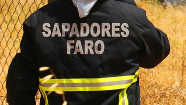 Bombeiros sapadores de Faro anamadeira