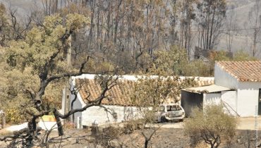 Consequências do Fogo na Serra do Caldeirão|Consequências do Incêndio de Catraia