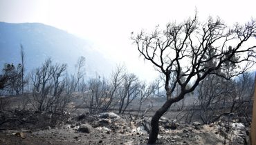 Incêndio em Monchique_alferce|Dominado o incendio monchique