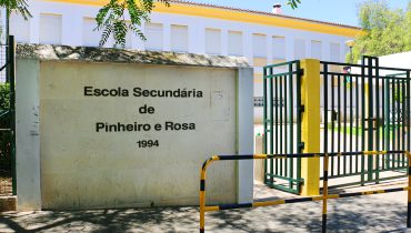 Escola Pinheiro e Rosa anamadeira6