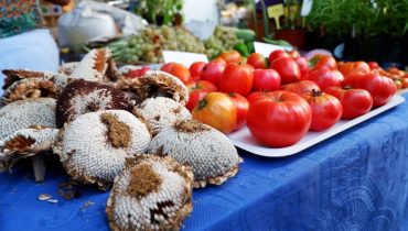 Feira da Dieta Mediterrânica 2017_12|exposição dieta mediterrânica