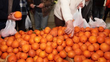 Festa da Laranja - Município de Portimão_Vedoispro