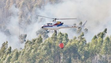 Incêndio em Monchique_20|Incêndio em Monchique_14