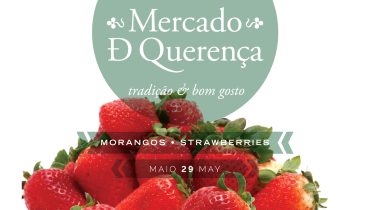 Mercado Querença Maio 2016_destaque|Mercado Querença Maio 2016