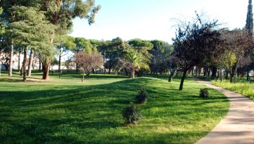 Parque Municipal de Loulé - C M Loulé - Mira (1)