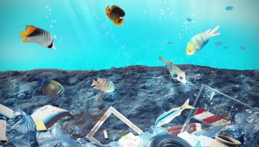 Seabed pollution