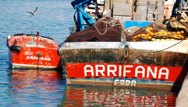 Porto de Pesca de Portimão