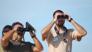 Sagres_Festival-de-Observacao-de-Aves_er_11