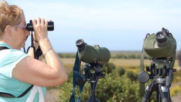 Observação de Aves|vila do bispo prémio