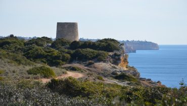 Torre da Lapa_er_08