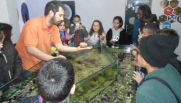 Visita Centro de Ciência Viva alunos Loulé