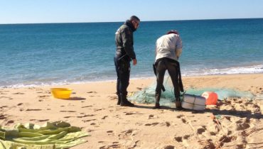 apreensao rede emalhar praia faro_alterada