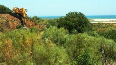 cacela velha terreno