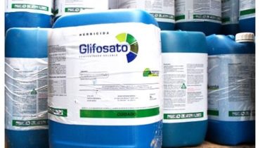 glifosato