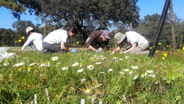 trabalho de campo dos investigadores